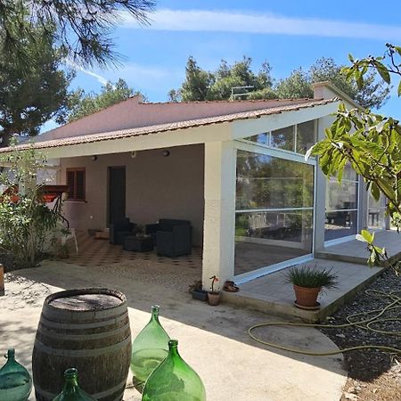 B&B Montedarena بولسانو المظهر الخارجي الصورة